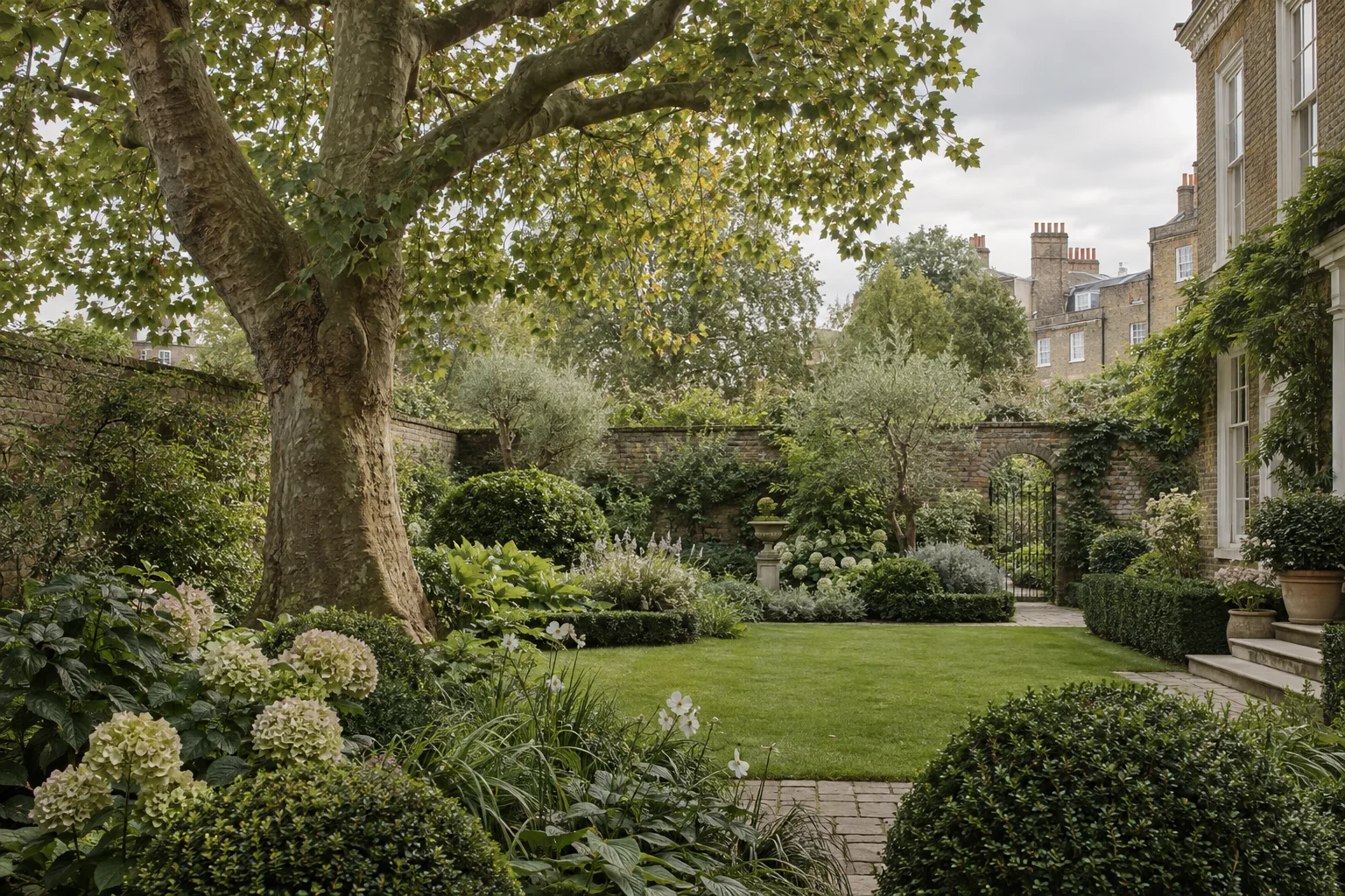 An established garden with mature trees