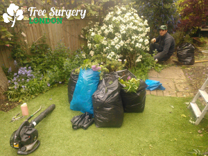 Professional clearance of your garden around London