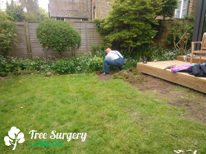 Expert Gardening Services in London