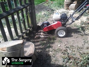 Proven Stump Grinding near London