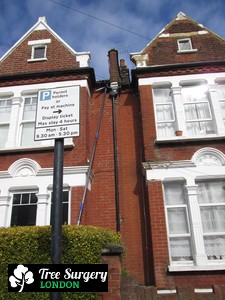 Competent Gutter Cleaners for London Residents