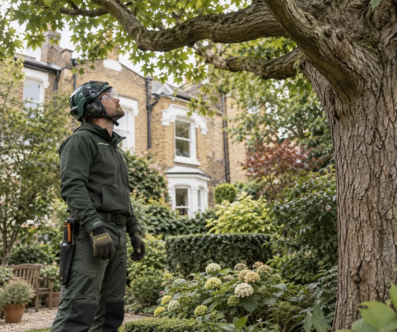 Arborist assessing a garden tree