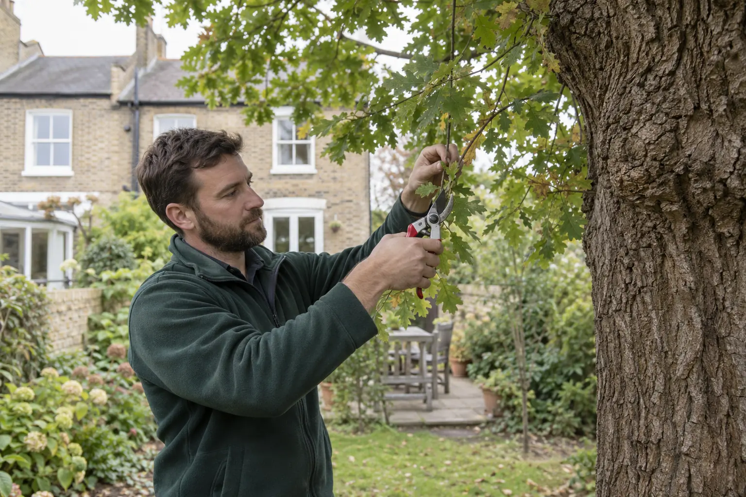 Careful pruning of a garden tree branch